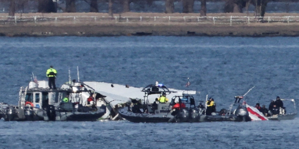 Black Hawk pilot failed to heed flight instructor in moments before plane collision over DC: report