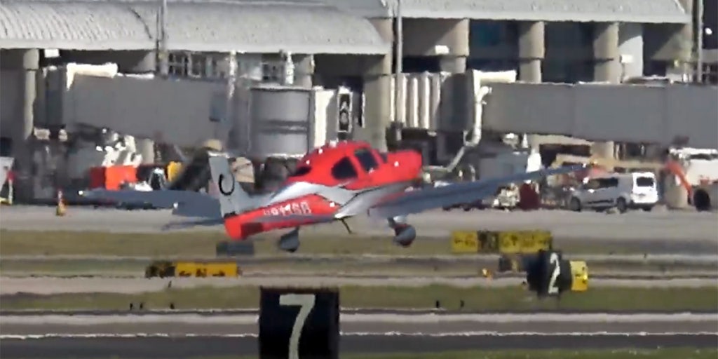 Plane bounces on Tampa airport runway while trying to land, video shows