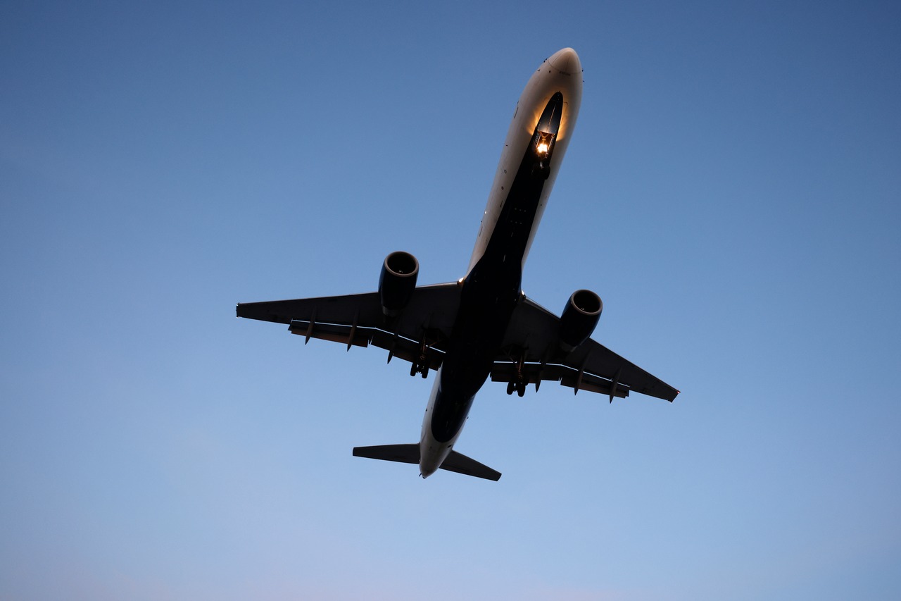 Pigeons on a plane! Rogue birds flying through airplane cause delays