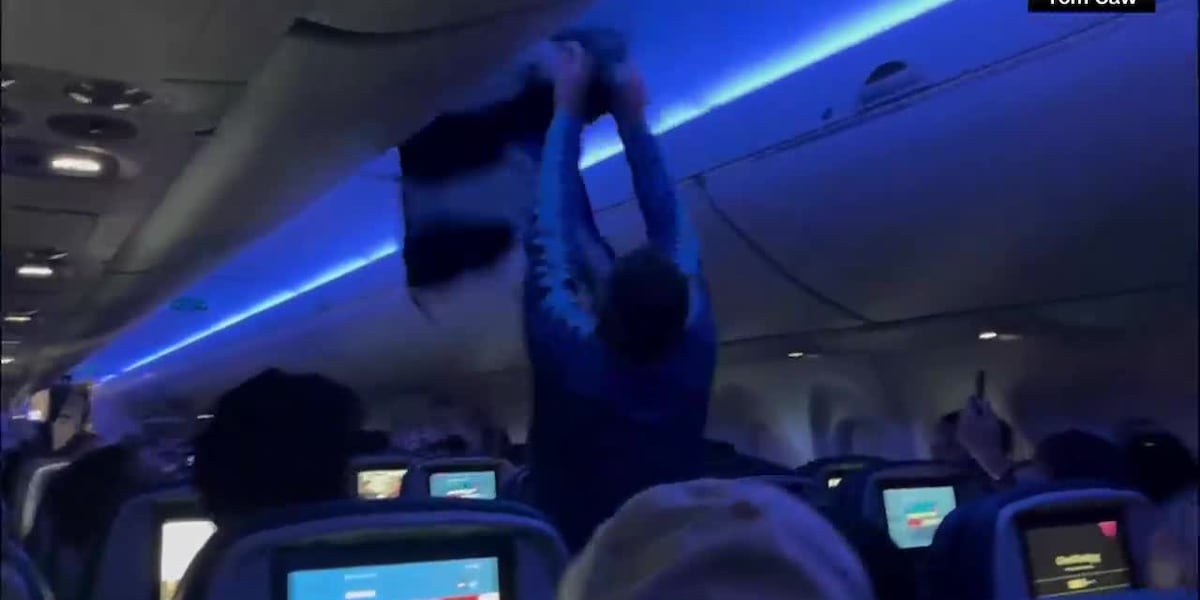 Delta flight delayed after 2 pigeons cause chaos in plane’s cabin