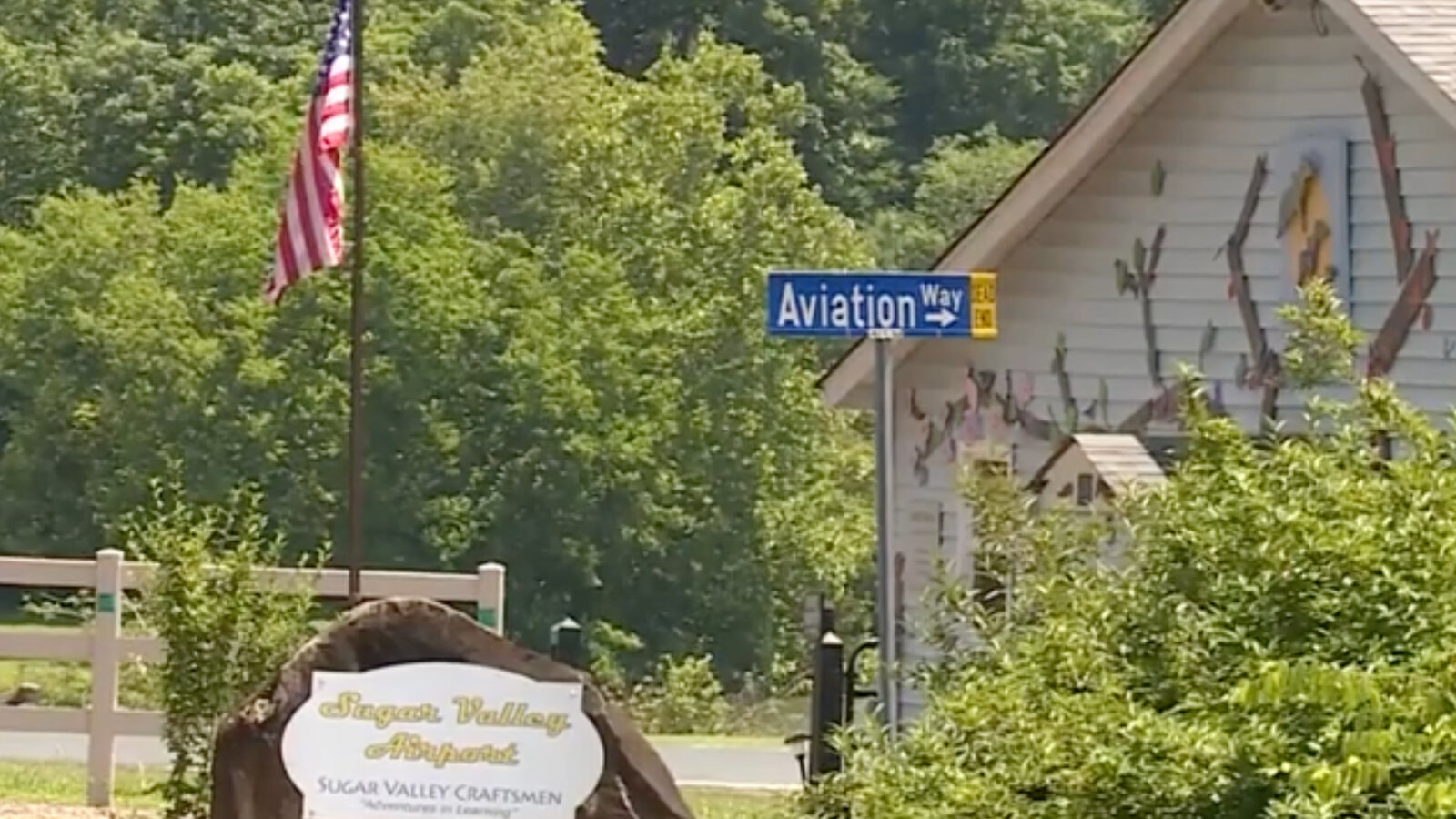 Pilot Tried To Avoid Turtle in Deadly North Carolina Plane Crash