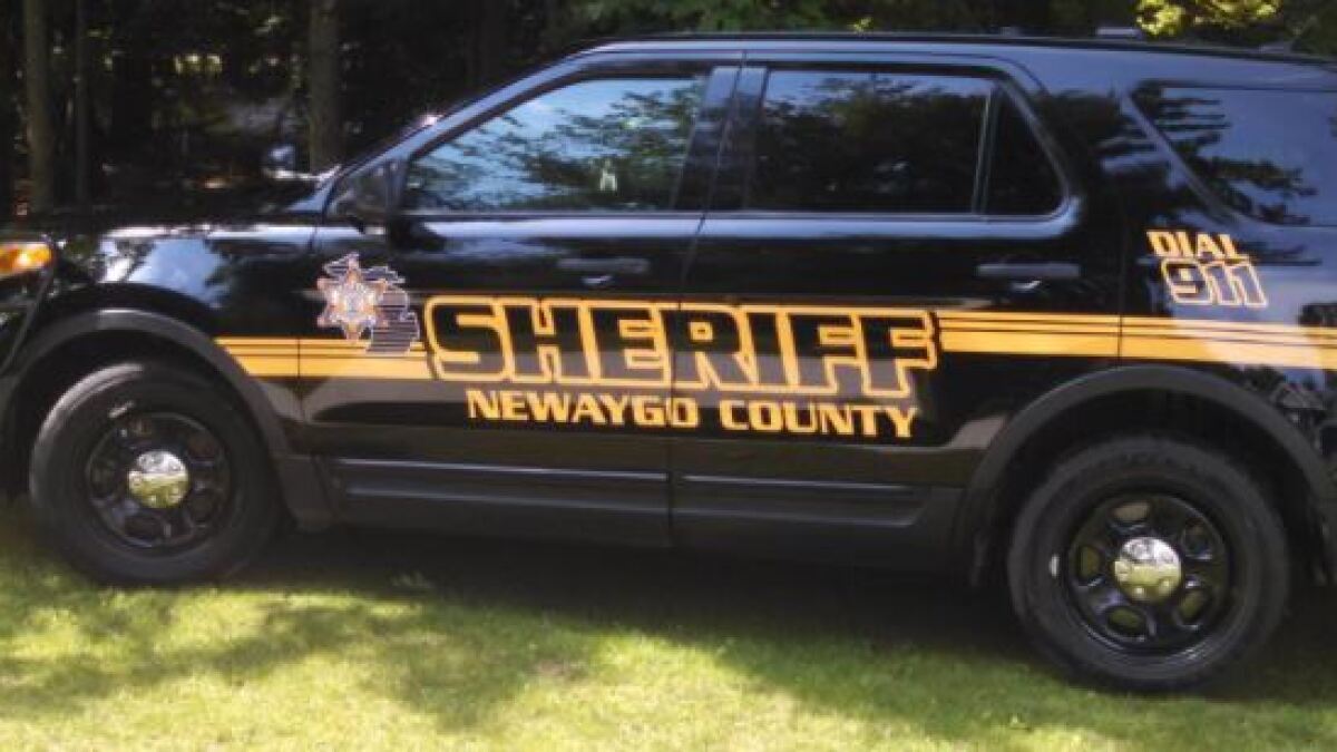 Plane crashes into Newaygo Co. field, pilot not hurt