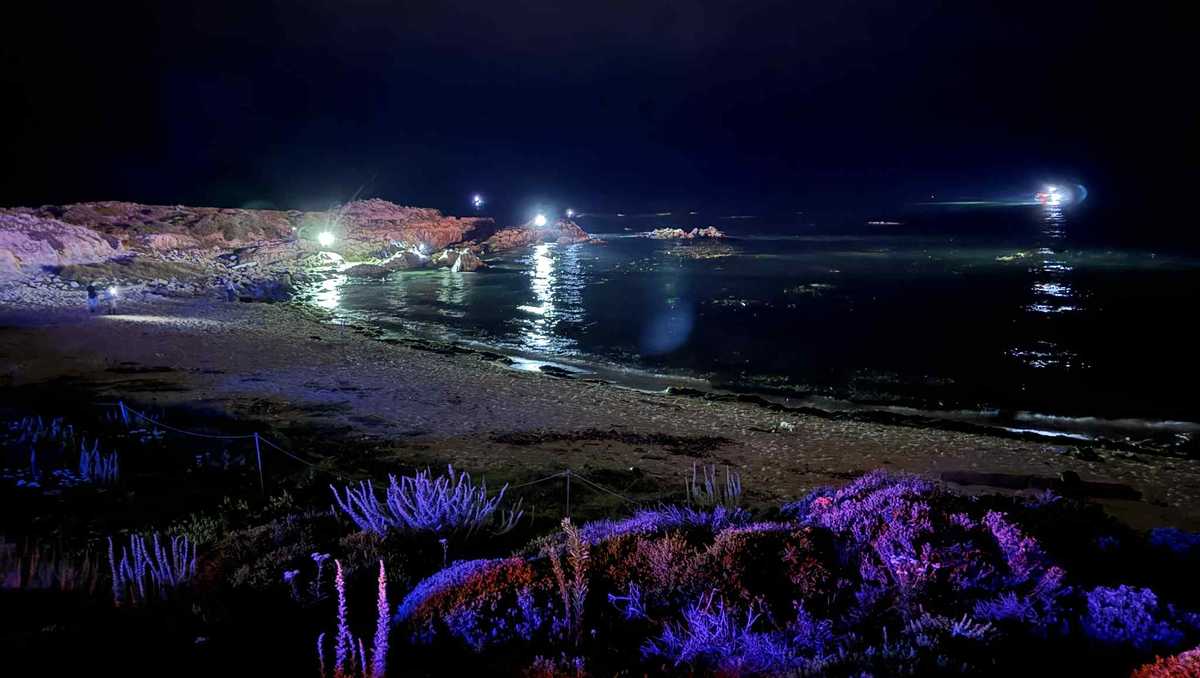 Multi-agency search underway after plane crashes off Pacific Grove coast