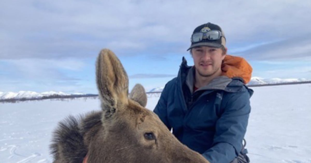 NTSB: Plane lost power before Dillingham crash that killed wildlife biologist