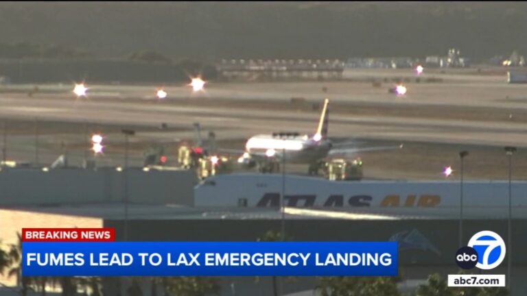 American Airlines flight returns to LAX after report of fumes; 7 passengers evaluated