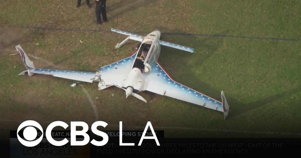 Woman struck by small plane during crash landing on Long Beach soccer field